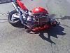 another Superhawk killed-1023091334b.jpg