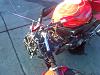 another Superhawk killed-15160_105116952833642_100000060137902_145872_4645525_n.jpg