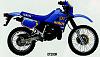 Who rides what for other bikes?-dt200r.jpg