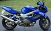 Looking for a Special Hawk!-bike-3.jpg