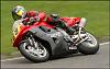 The 98...-wadetlr-pr-tn3a.jpg