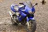 My 98 Hawk-_dsc0026.jpg