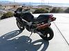 VTR of the Month October 2011-chicken-009.jpg