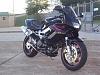 Before &amp; After Pics-undertail-pics-039.jpg