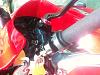 My Firestorm baby!-img_5703.jpg