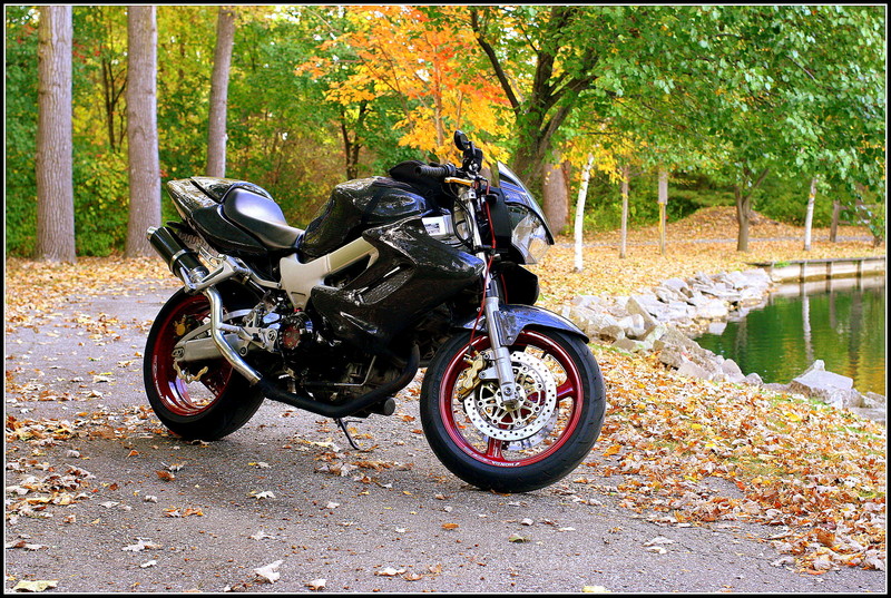 Name:  IMG_7316_zpszxnoxqzy.jpg
Views: 158
Size:  284.4 KB