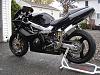 99 bird-dsc02563.jpg