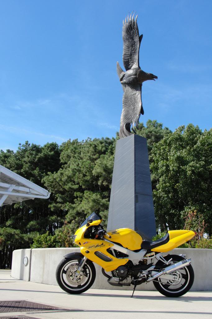 Name:  DSC07287.jpg
Views: 142
Size:  98.5 KB