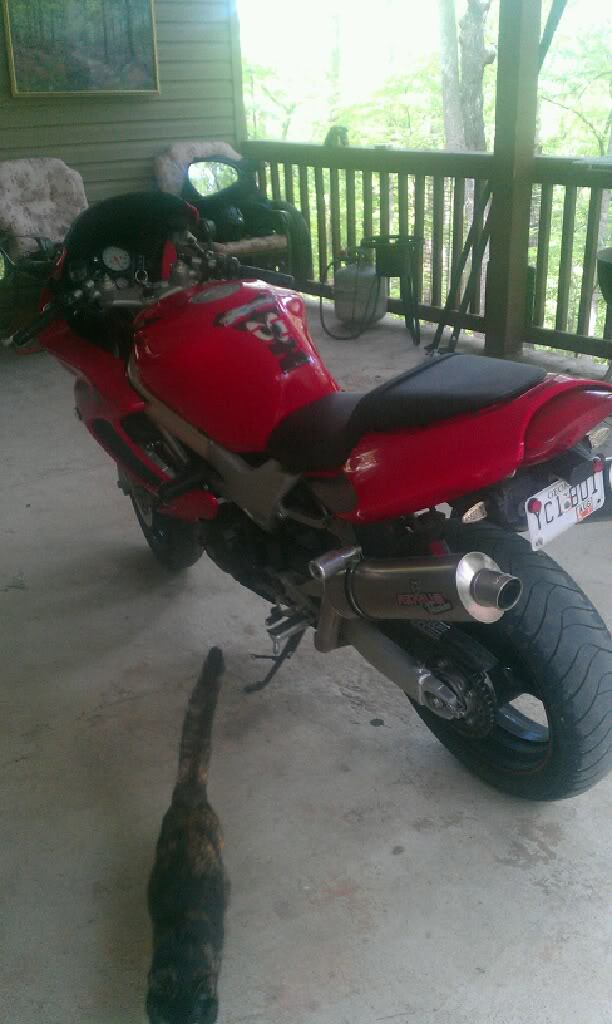 Name:  IMAG0248.jpg
Views: 148
Size:  84.7 KB