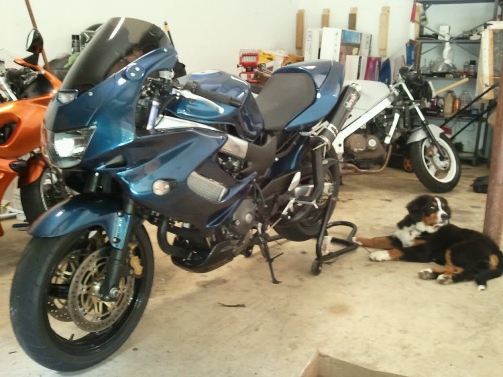 Name: 256990_10150273026599669_765604668_8891825_739009_o.jpg
Views: 41
Size: 97.8 KB