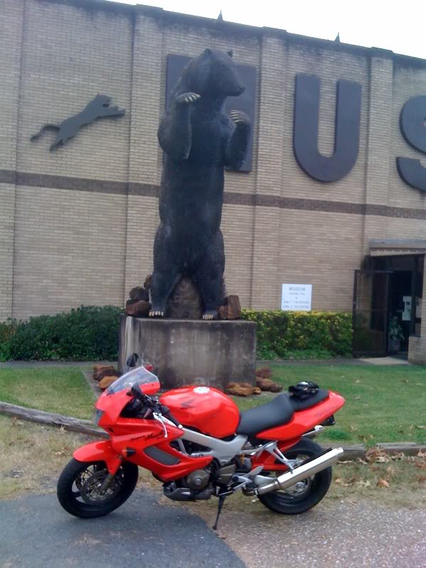 Name:  Bear.jpg
Views: 63
Size:  95.2 KB