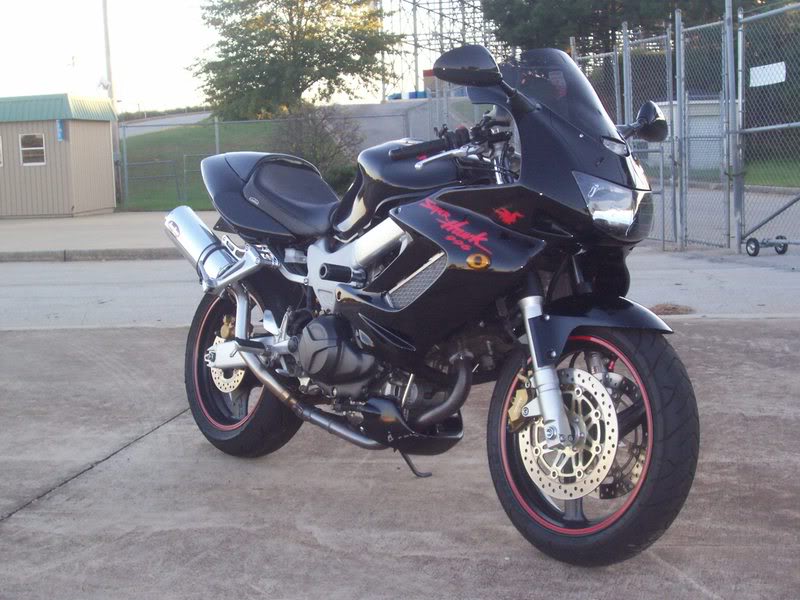 Name:  UNDERTAILPICS039.jpg
Views: 616
Size:  86.0 KB