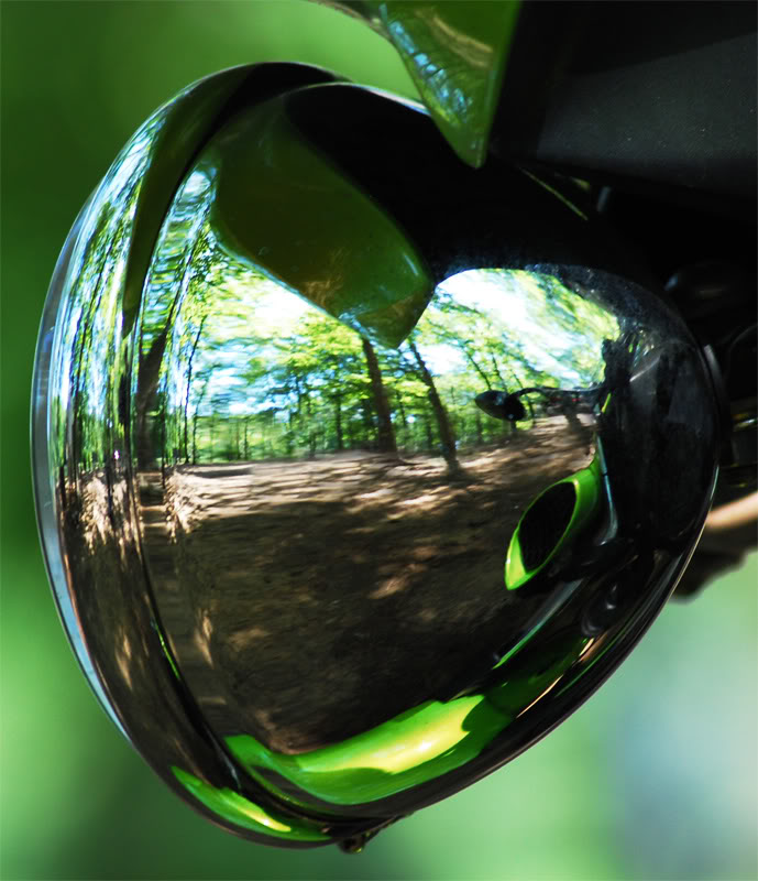 Name:  krautfedreflection.jpg
Views: 27
Size:  96.2 KB