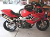 My new Hawk-img_0150.jpg