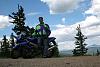 New to the SH this summer...-img_4268-custom-.jpg