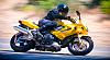 My Hawk in action-rock-store_sph0444-cropped.jpg