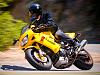 My Hawk in action-rock-store_sph0530_800x600.jpg