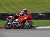 track dayz-17-small.jpg