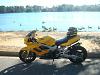 UpDated Stretched Hawk-dsc00642.jpg