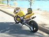 UpDated Stretched Hawk-dsc00635.jpg