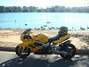 UpDated Stretched Hawk-dsc00640.jpg