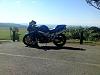 Newbie from brisbane aust.-vtr1000-3.jpg