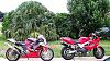 A few pics of my twins.-bikes1.jpg