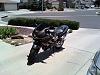VTR Of The Month - September 2009 - WINNER: Cursio!-duck007c.jpg