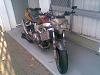 super chicken streetfighter-image013.jpg