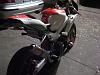 My work in progress-update-hawk-009.jpg