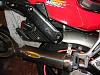 Tail modification-tail-cut-001.jpg