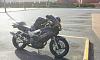 new look for my hawk :)-006-2-.jpg