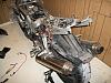 Show me your rear end!-100_1018.jpg