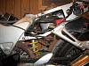 Show me your rear end!-100_1020.jpg
