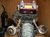 Show me your rear end!-100_1022.jpg