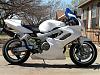 white hawk?-white-hawk-001.jpg