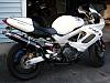white hawk?-dsc01543-sm.jpg