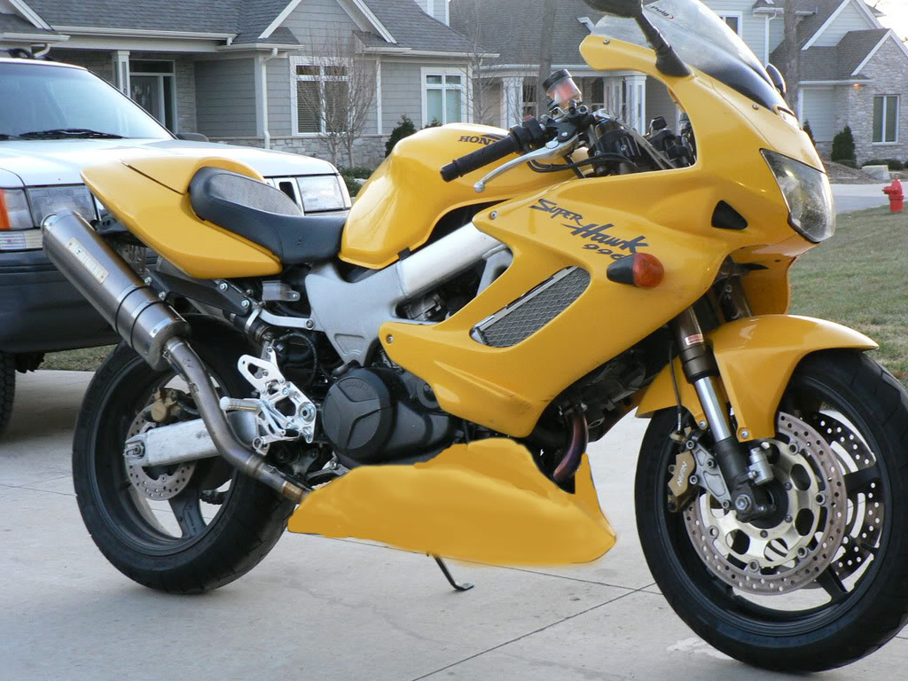 Name:  yellowbellyfrontright.jpg
Views: 303
Size:  165.8 KB