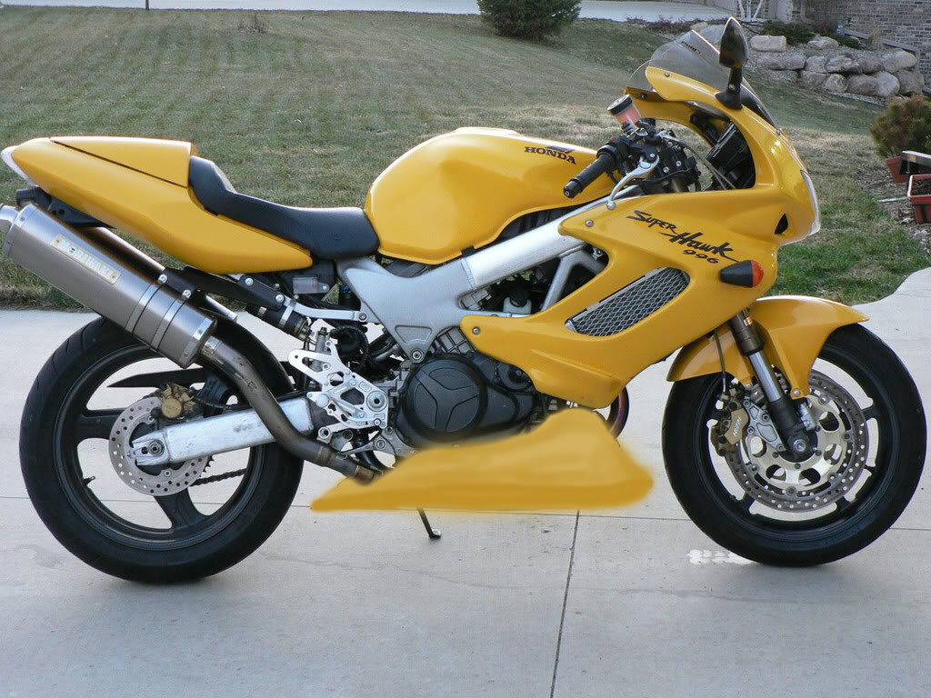 Name:  yellowbelly.jpg
Views: 281
Size:  177.4 KB
