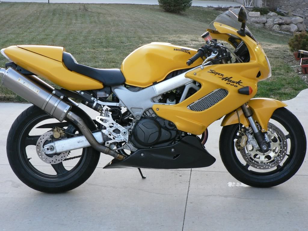 Name:  blackbellyside.jpg
Views: 209
Size:  150.4 KB