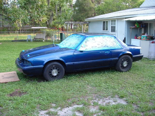 Name:  picsofcarpaintjob002.jpg
Views: 63
Size:  90.9 KB