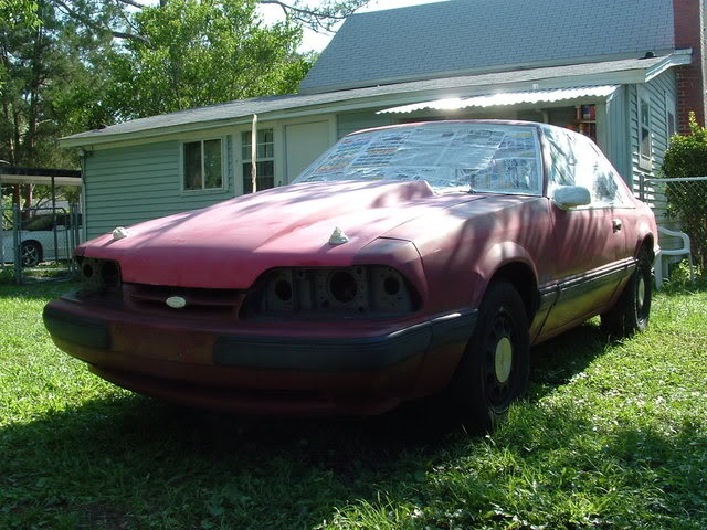 Name:  picsofcarpaintjob004.jpg
Views: 59
Size:  81.7 KB