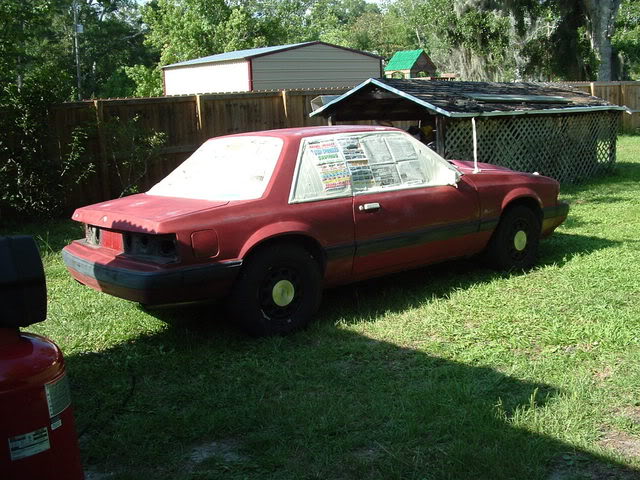 Name:  picsofcarpaintjob001.jpg
Views: 63
Size:  84.1 KB