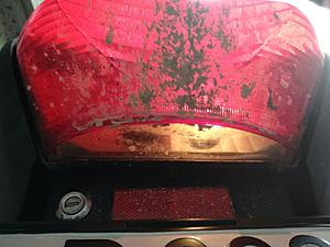 Show me your lights, tail lights, turn signals. What works what doesn't.-photo_2018-07-29_03-29-00.jpg