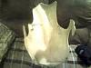 War Eagle Racing Lower Fairing...-lower1.jpg