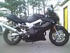 War Eagle Racing Lower Fairing...-rightside.jpg