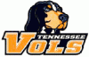 War Eagle Racing Lower Fairing...-tennesseevols.gif