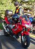 Fog/Driving Lights-vtr-1.jpg