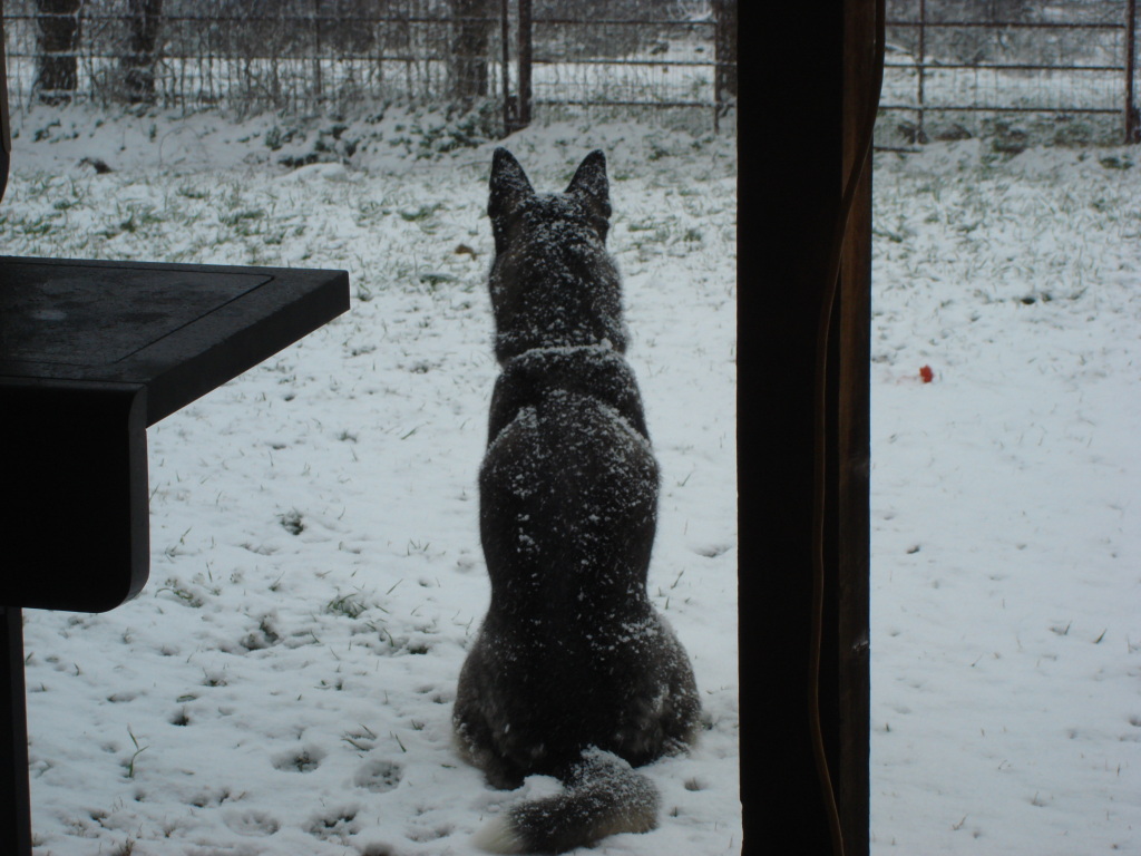 Name:  DSC00630.jpg
Views: 488
Size:  233.2 KB