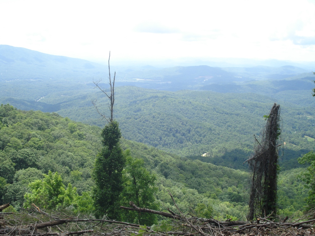 Name: 22.jpg
Views: 97
Size: 367.2 KB